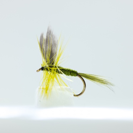 Olive dun Dry Fly by the dozen